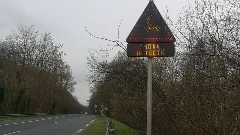 Un radar anti-collision avec les animaux sauvages dans le Val-d’Oise