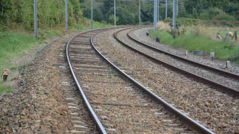 Partenariat chasseurs et SNCF