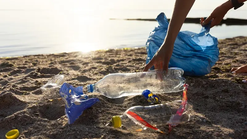 Quand les écolos votent contre une opération de ramassage des déchets dans la nature