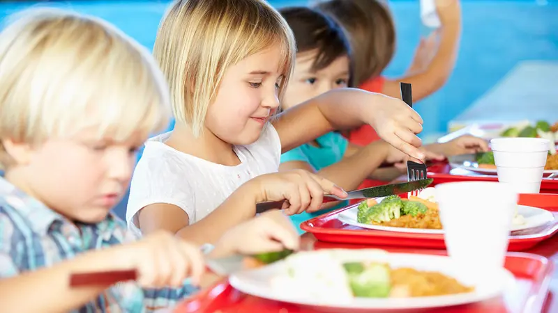 1 repas végétarien obligatoire par semaine dans les cantines à partir du 1er novembre