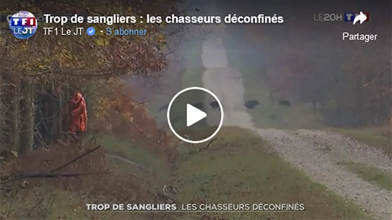 [Reportage] TF1 explique (intelligemment) pourquoi il faut chasser pendant le confinement