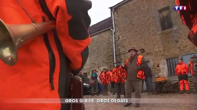 Dégâts de gibier, quand TF1 met les chasseurs à l’honneur