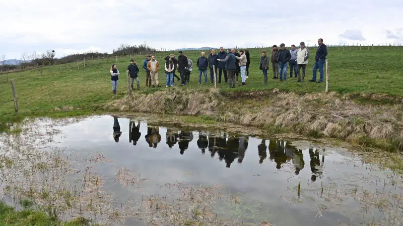 Les chasseurs restaurent 120 mares dans la Loire