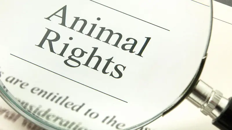 RIP de la cause animale : ce nouveau combat écolo/bobo/marketing