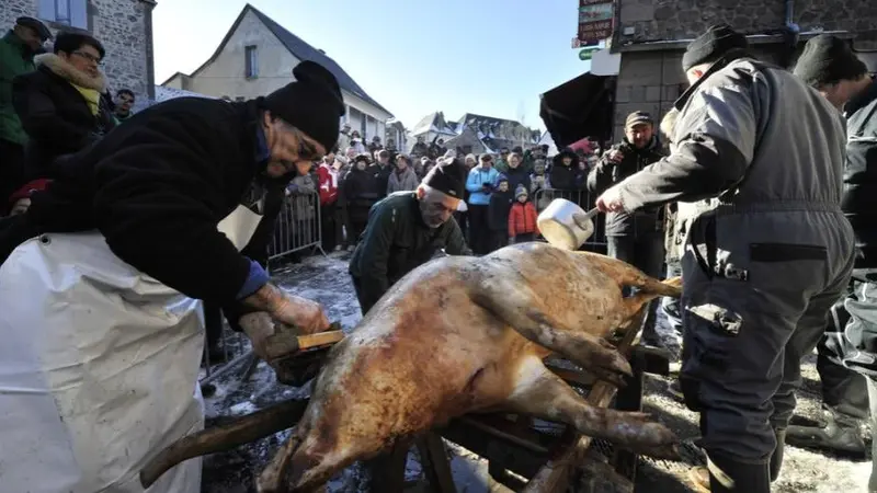 La Saint Cochon rebaptisé, un salon du chiot annulé, merci les animalistes