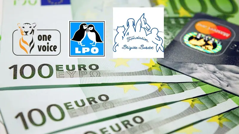 Les (très) gros salaires des dirigeants d’associations écolos.