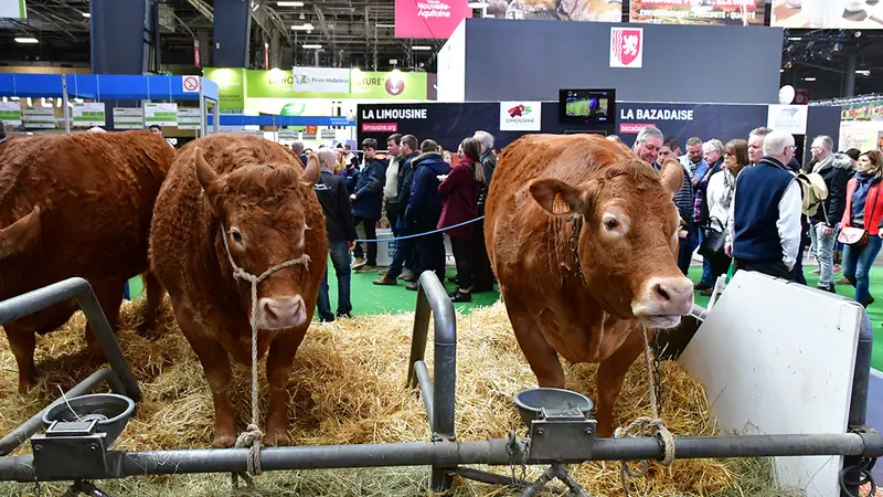 Annulation du salon de l’agriculture : une chance pour les parisiens