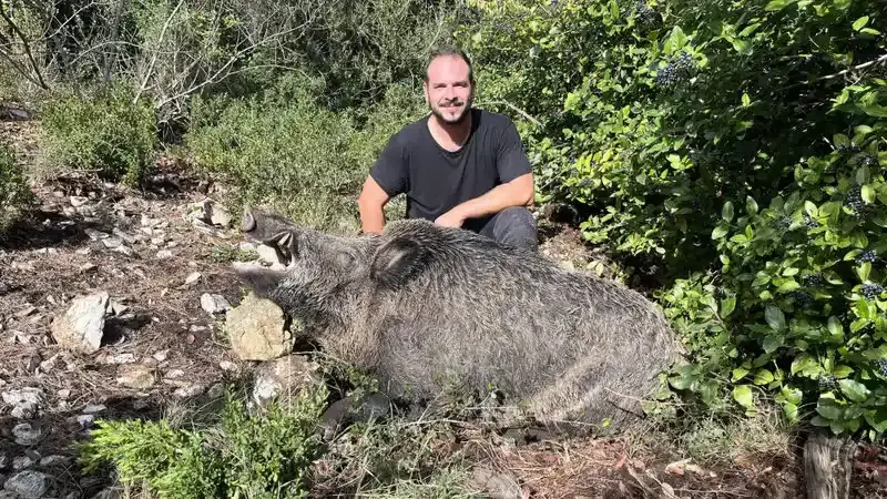 Un sanglier de 173 kilos tué à Saint-Rémy-de-Provence