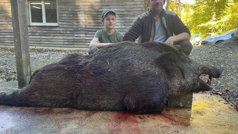 Un sanglier de 191 kg tué en Haute-Marne !