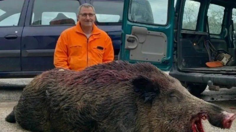 Haute-Marne : il bat le record de la communal avec un sanglier de 167 kg