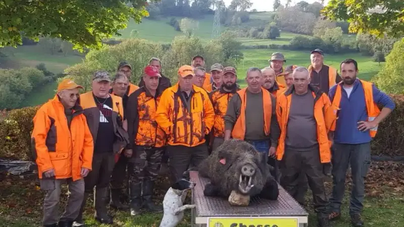 Aveyron : l’histoire de « Phiphi » le sanglier prélevé 2 an après avoir était bagué.