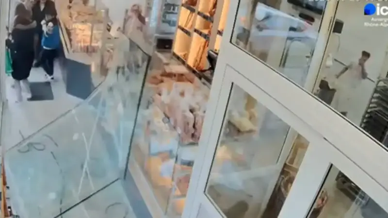 sanglier vitrine boulangerie