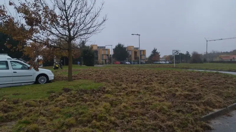 Sables-d’Olonne : Les sangliers labourent les parkings de l’hôpital