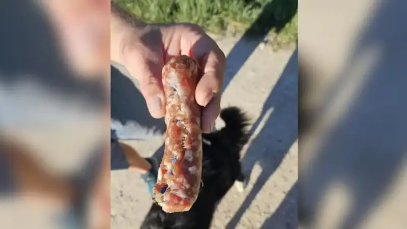 saucisses empoisonnées