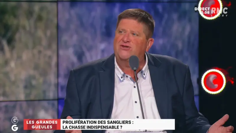 Willy Schraen parle de la prolifération des sangliers sur RMC