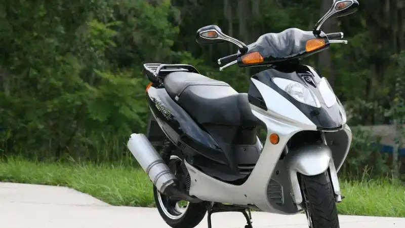 accident sanglier scooter