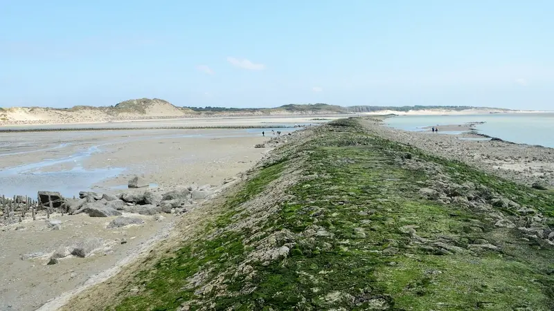 La pêche à pied interdite jusqu’à nouvel ordre dans la baie d’Authie à cause d’une bactérie