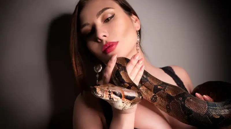 One Voice porte plainte pour maltraitance de serpents en boîte de nuit