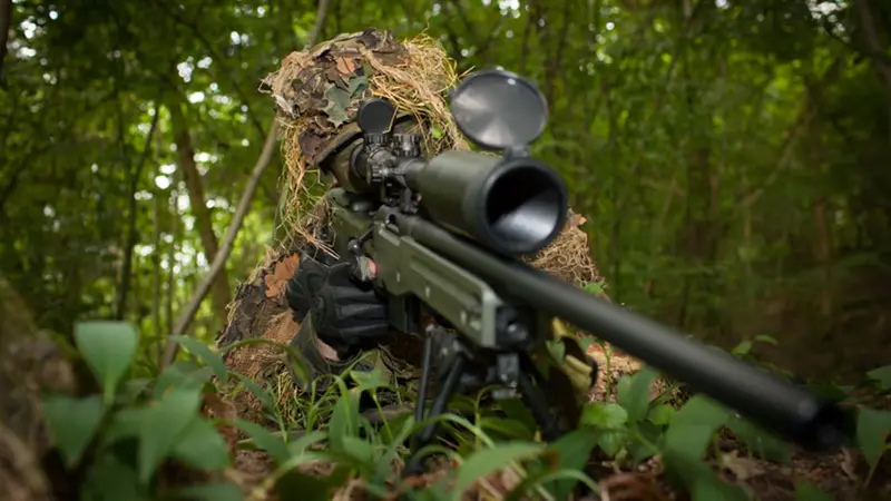 Le mot sniper tirerait son origine des chasseurs de bécassines
