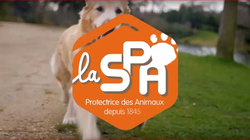 La SPA condamnée à verser 141 000€ à son ancien directeur
