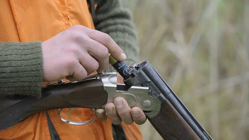 La commission du Sénat sur la « Sécurisation de la chasse » s’est formée et la mission va débuter