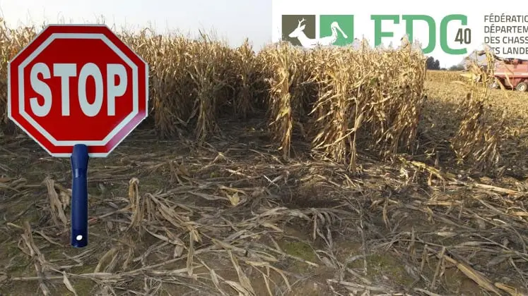 La fédération des chasseurs des Landes dit STOP à l’indemnisation des dégâts