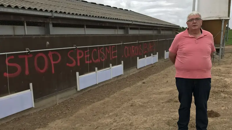 Belgique : des antispécistes saccagent un élevage de poulets bio