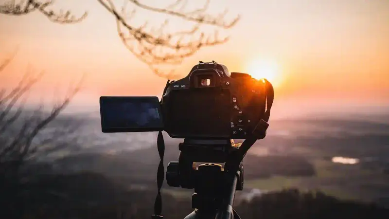 Photographie animalière