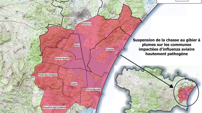 Suspension de la chasse du gibier à plumes, l’Aude également concernée