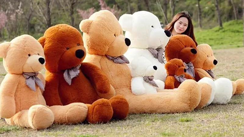 D'où vient le surnom de l'ours en peluche Teddy bear ?