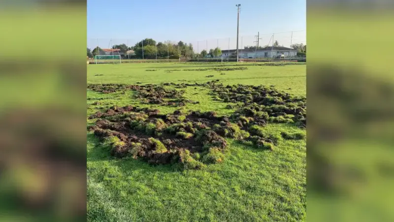 terrain de football Coulounieix