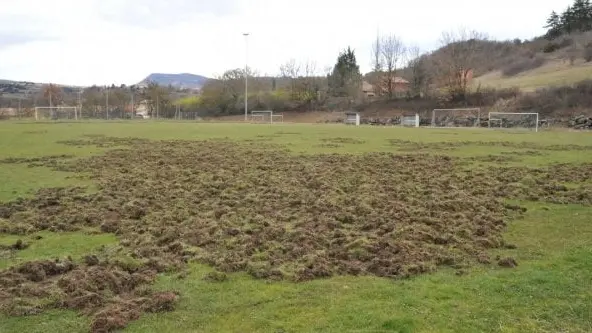 terrain-foot-sanglier-aveyron