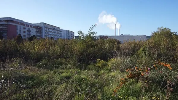 La ville de Montpellier retire le droit de chasse sur les biens municipaux