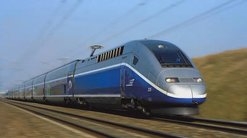 Une brenneke retrouvée dans l’appui-tête d’un TGV