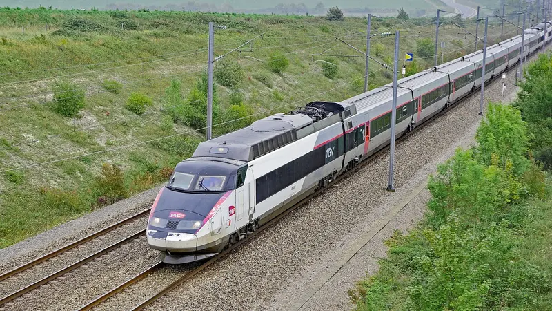 Un sanglier percute un TGV et provoque 6h de retard pour ses passagers