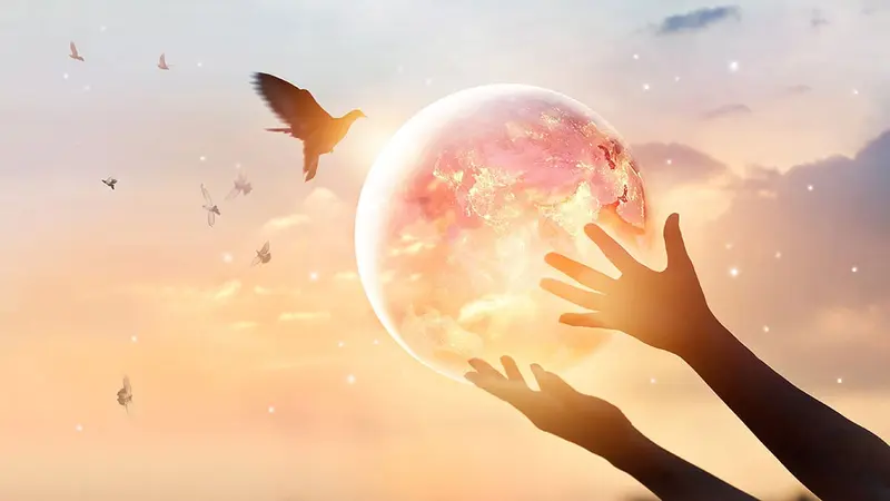 Message d’une non chasseresse, non végane, non anti-tout à l’humanité