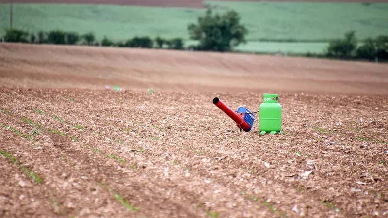 Un néo rural lance une pétition incroyable