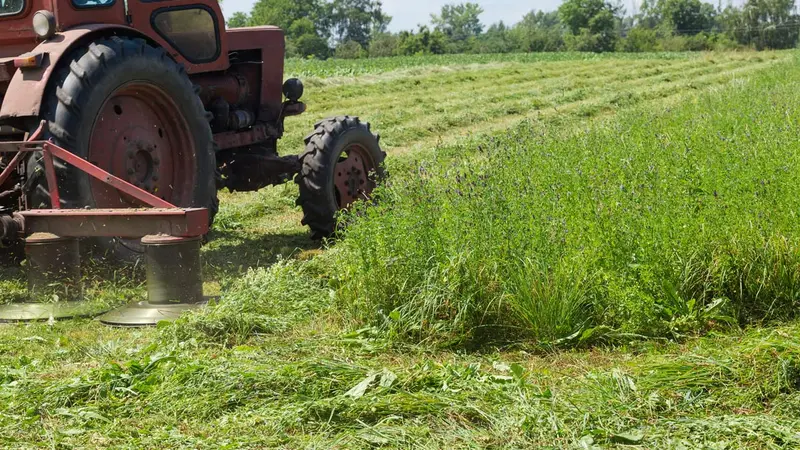 Dangers du fauchage : comment éviter aux animaux de se faire tuer