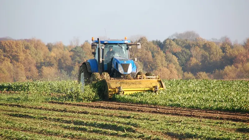 Les agriculteurs appelés à utiliser une application pour signaler les dégâts de gibier