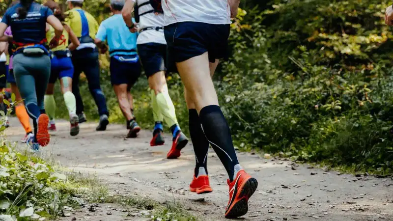 C’est l’ouverture : attention, les traileurs sont de sortie