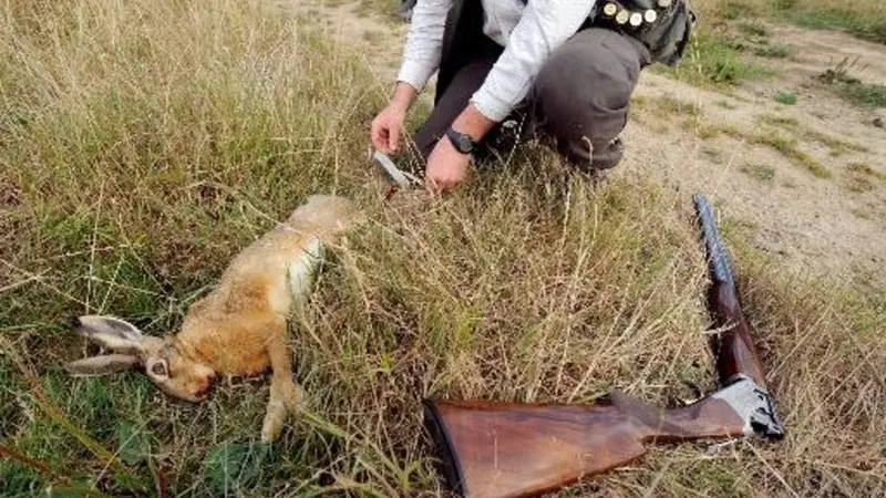 Chasseurs, attention la tularémie sévit !