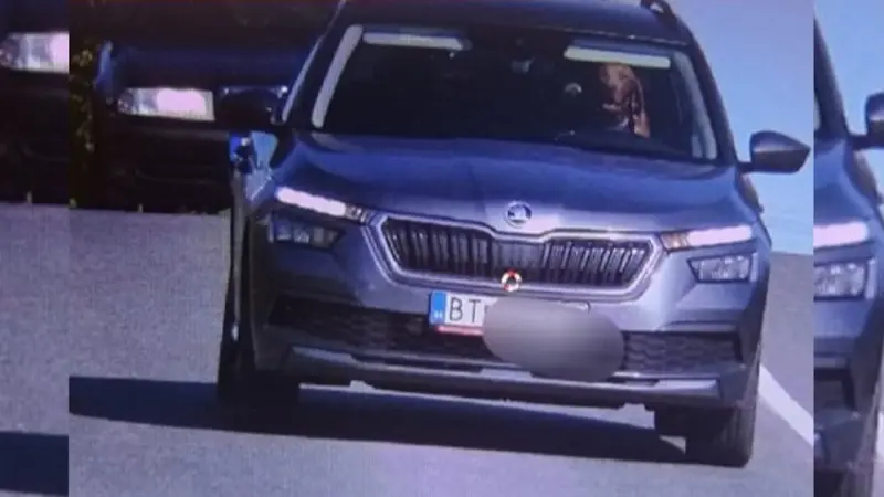 Insolite : un chien de chasse contrôlé au volant d’une voiture en excès de vitesse par la police