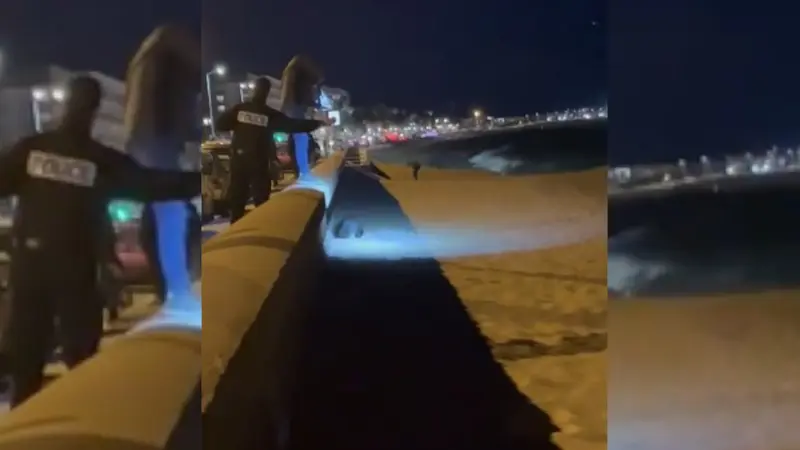 Un sanglier abattu sur une plage de Cannes créé la polémique