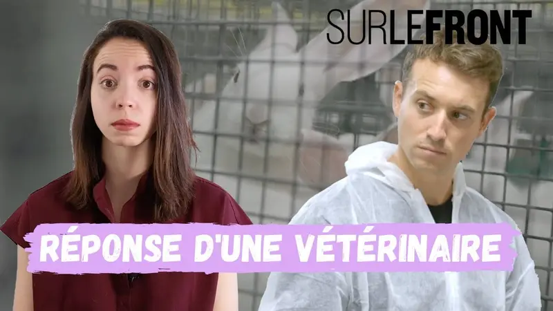 Une vétérinaire décrypte les « fakes » d’un reportage d’Hugo Clément (vidéo)