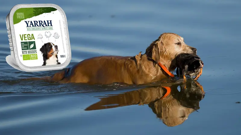 Alimentation vegan pour chien et chat, on y est !