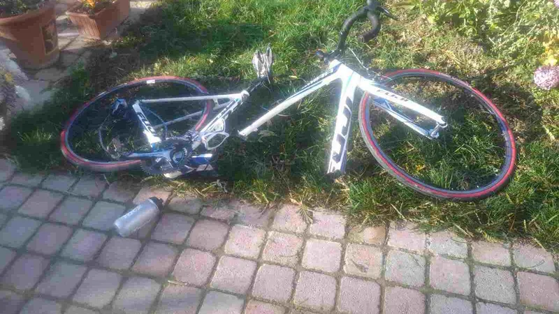 Un cycliste blessé et son vélo coupé en deux suite à une charge de sanglier