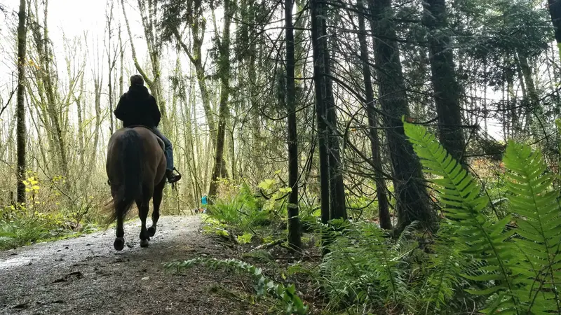 Un veneur décède lors d’une chasse à courre