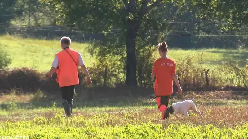 vers la disparition des chasseurs