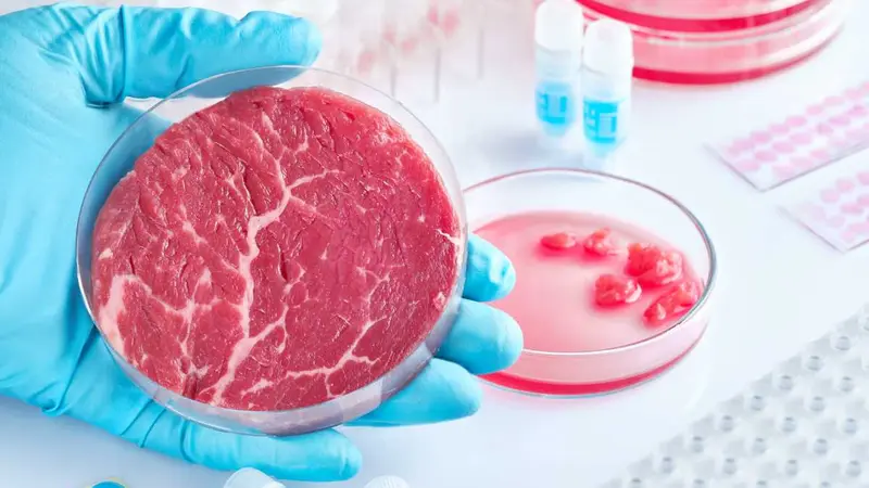 L’Italie souhaite interdire la viande artificielle sur son territoire par précaution