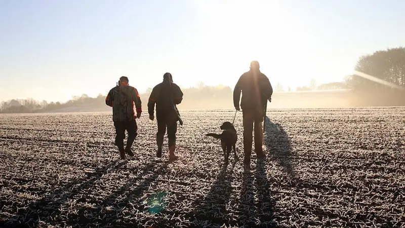 La vidéo des anti-chasses agressent des chasseurs dans le gard
